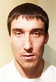 Матулевичюс Михаил