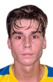 Дубинин Дмитрий