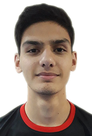 Бадеян Давид