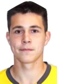 Гуцу Михаил